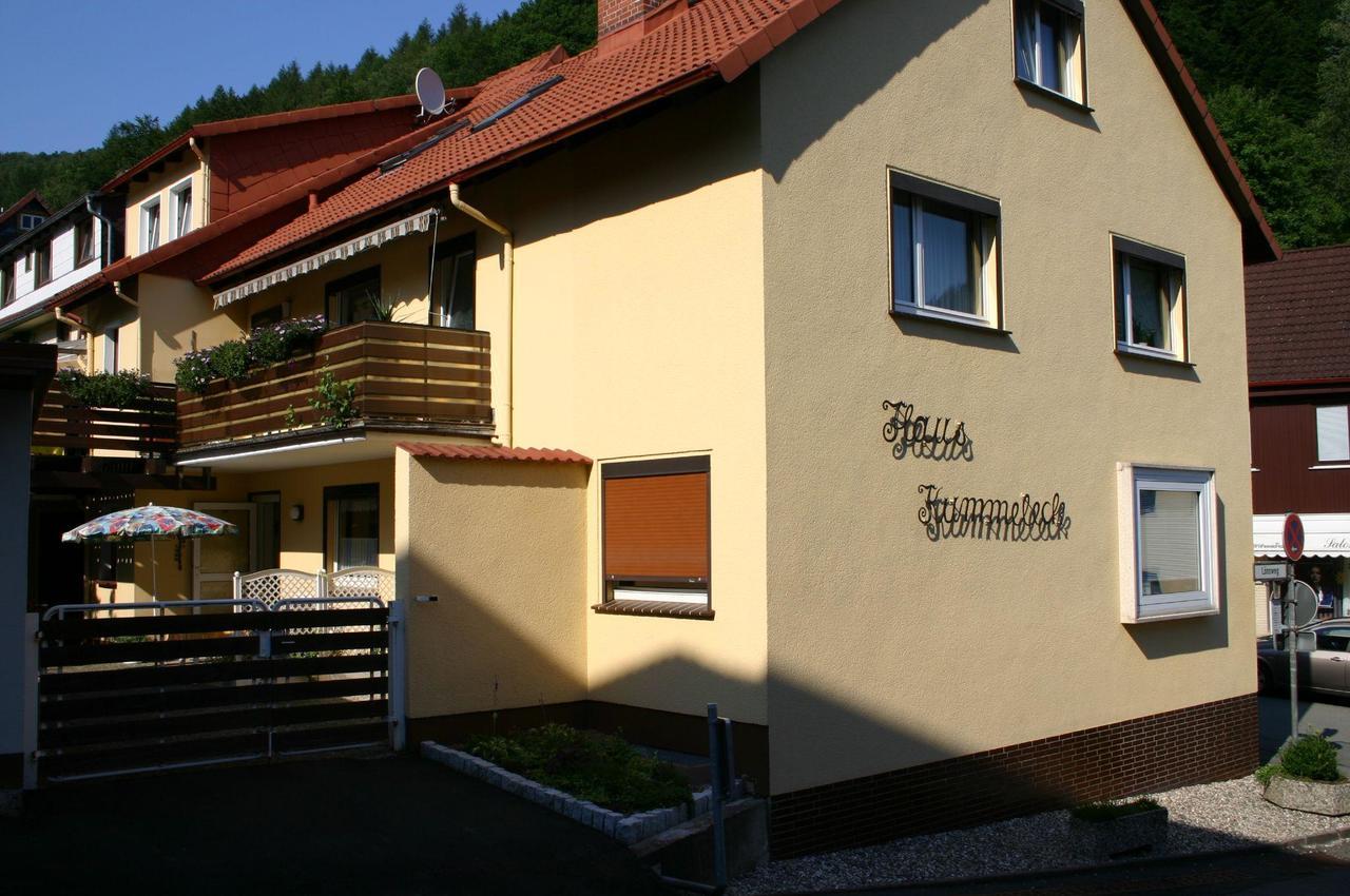 Haus-Kummeleck-Wohnung-3 バート・ラウターベルク エクステリア 写真